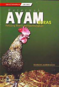 Image of Beternak Ayam Buras : Peluang Bisnis Menguntungkan