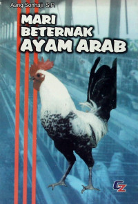 Mari Beternak Ayam Arab